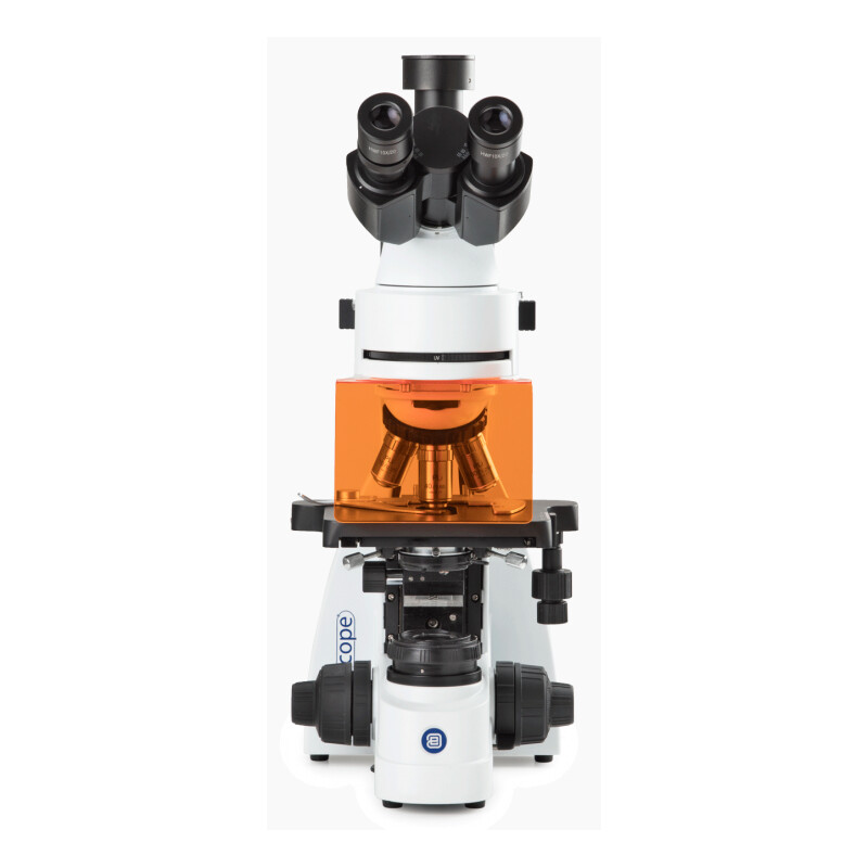 Euromex Microscope Mikroskop BS.3153-PLFi, trino, 40x-1000x