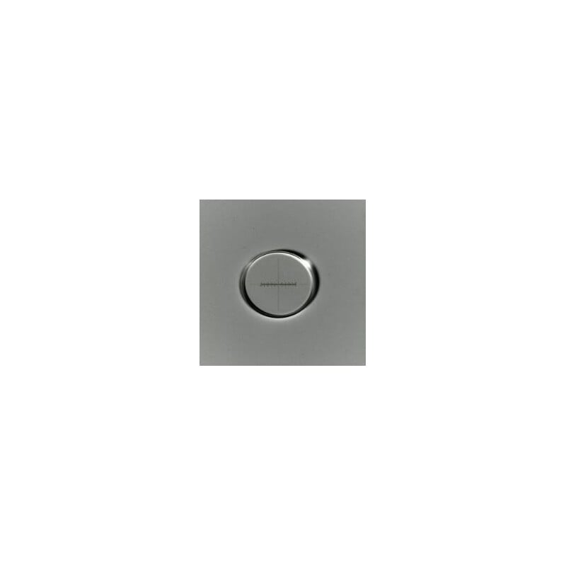 ZEISS Placa micrométrica Micrómetro de cruz de trazos 10:100, d=21 mm