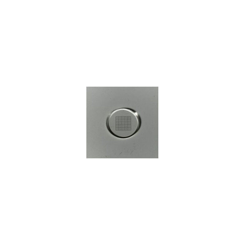 ZEISS Micrometro a rete 10x10/5:10, d=21 mm