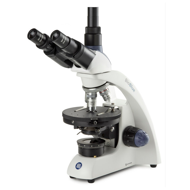 Euromex Microscopio BioBlue, BB.4253-P-HLED, trino, polarización, DIN, 40x-1000x, 10x/18, LED, 1W