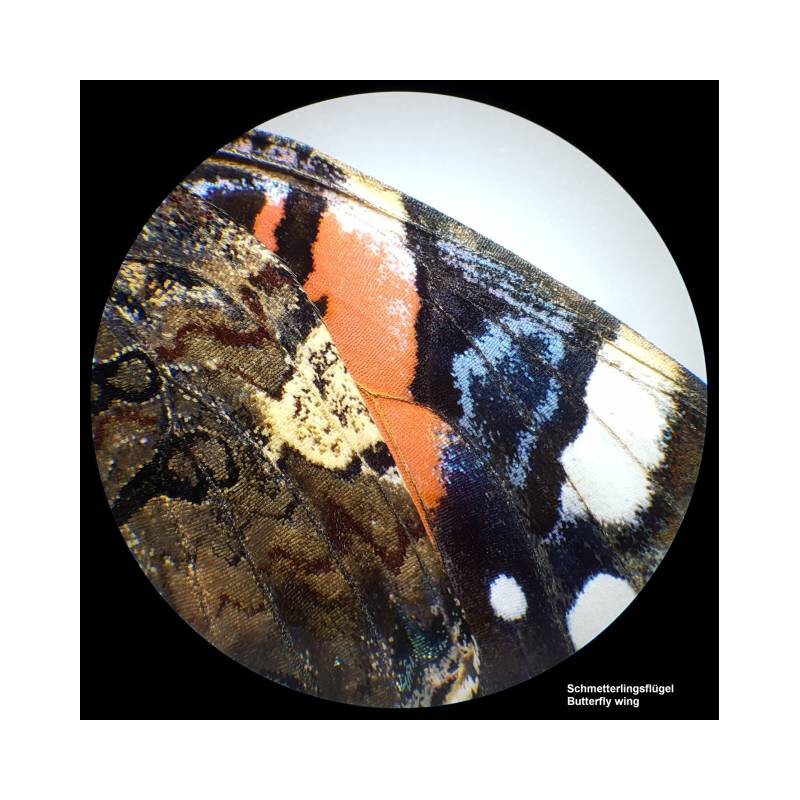Bresser Stereo microscope Analyth STR 10x-40x bino; Greenough; 50mm; 10x/20; 10-40x; LED
