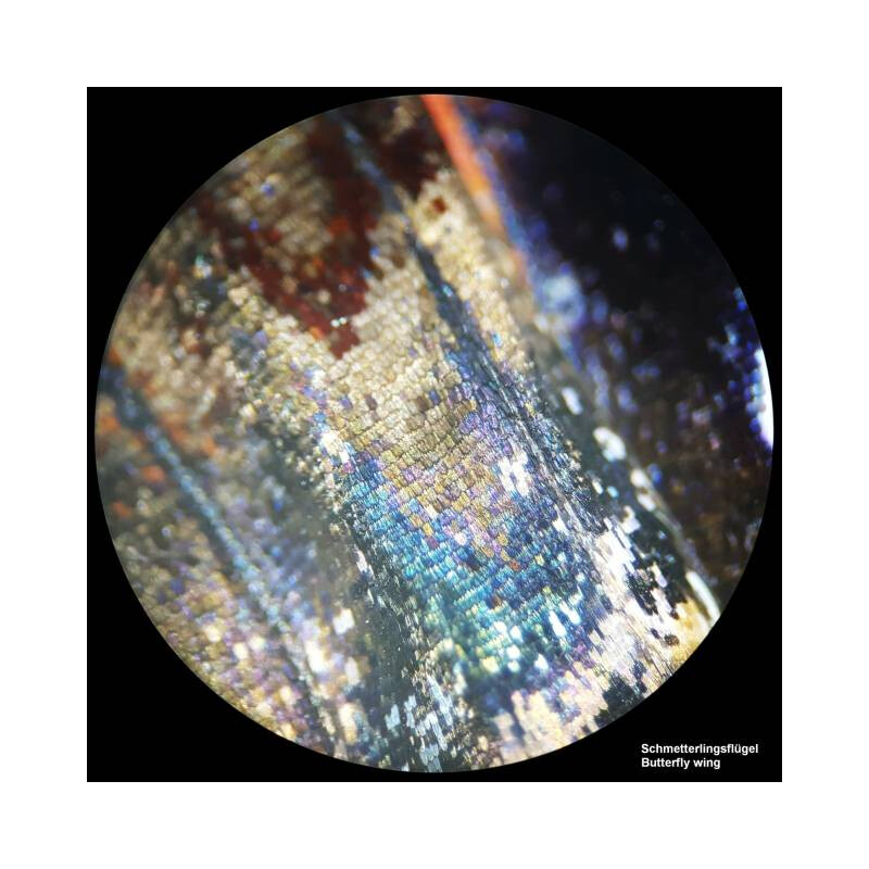 Bresser Stereo microscoop Analyth STR 10x-40x bino; Greenough; 50mm; 10x/20; 10-40x; LED