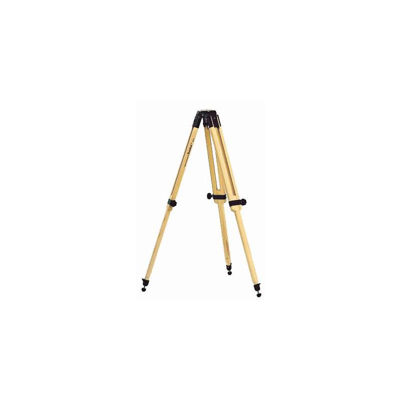 Berlebach Wooden tripod model 1012 with file plate