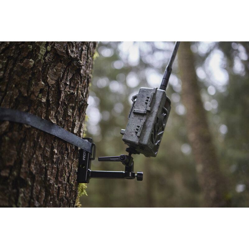ZEISS Rilevatore di selvaggina Secacam 5 (confezione da 4)