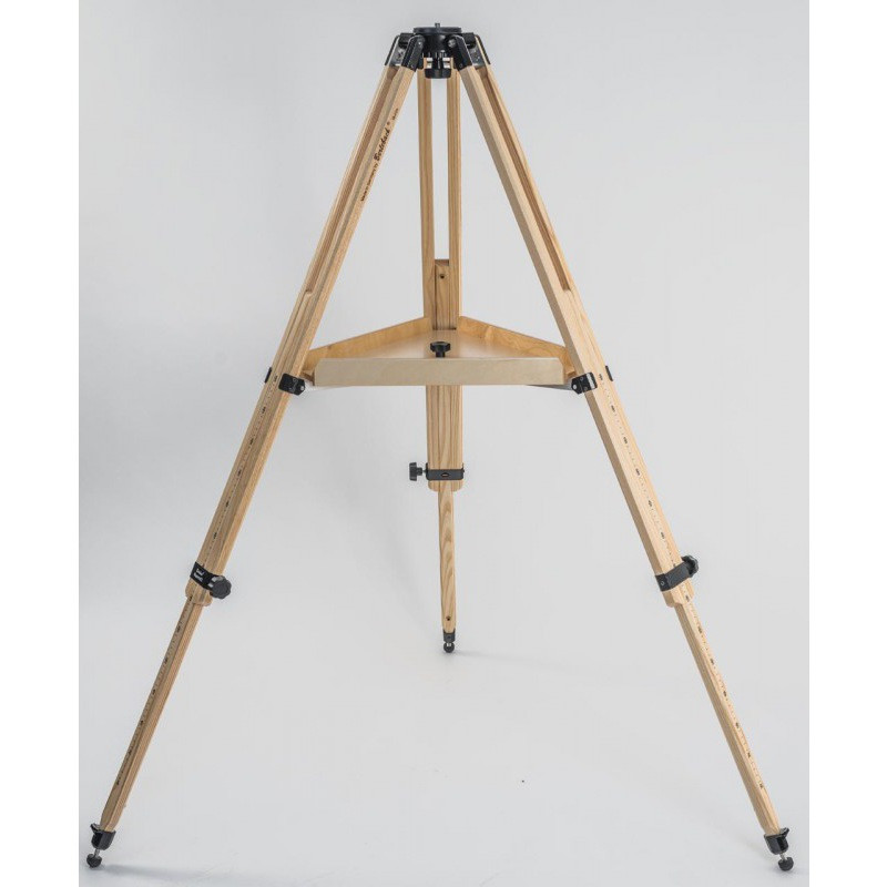 Berlebach Treppiede-Legno Report 412 Astro