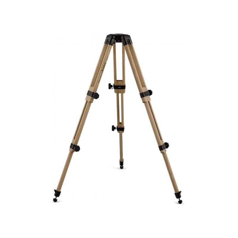 Berlebach Wooden tripod Report 713 3/8"
