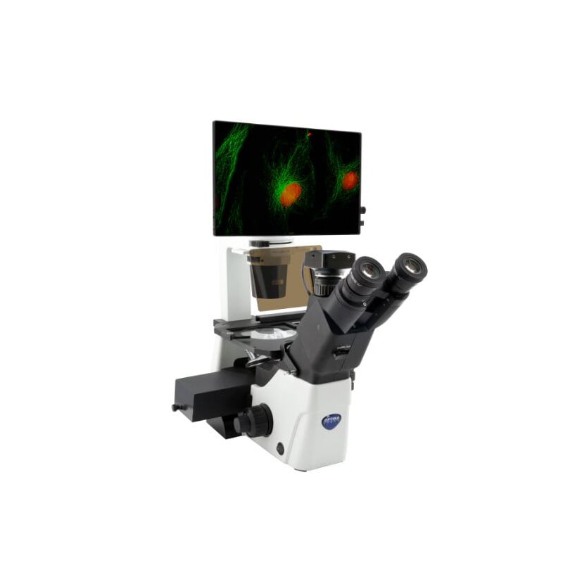 Microscopio invertito IM-300LD4D Digital Inverted LED fluorescence microscope, 400x, IOS LWD PLAN F, 4 empty filterset slots