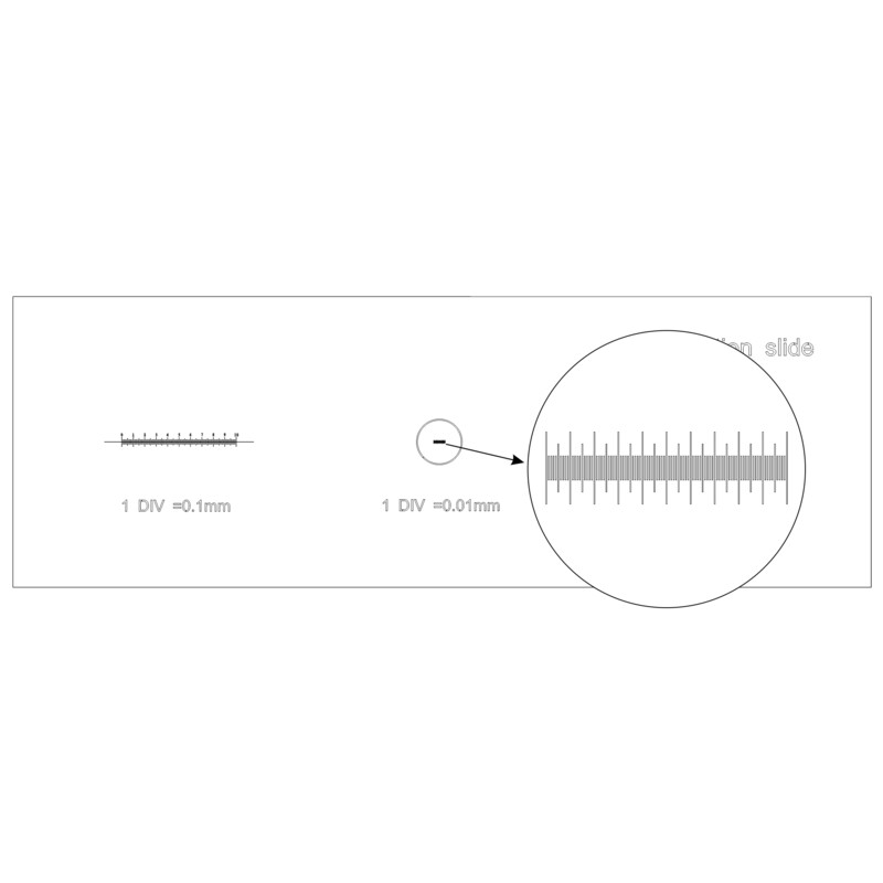 MAGUS Calibration slide CS3
