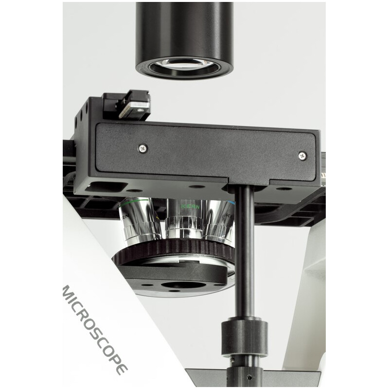 Kern Microscopio invertito OCM 166, FL, PH, trino, inverso, condensatore Abbe N.A. 0,3 fisso, 10x-40x, LED 30W, Al, 100W HBO, Dl