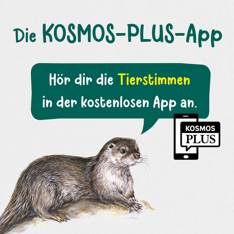 Kosmos Verlag What lives in streams and ponds?