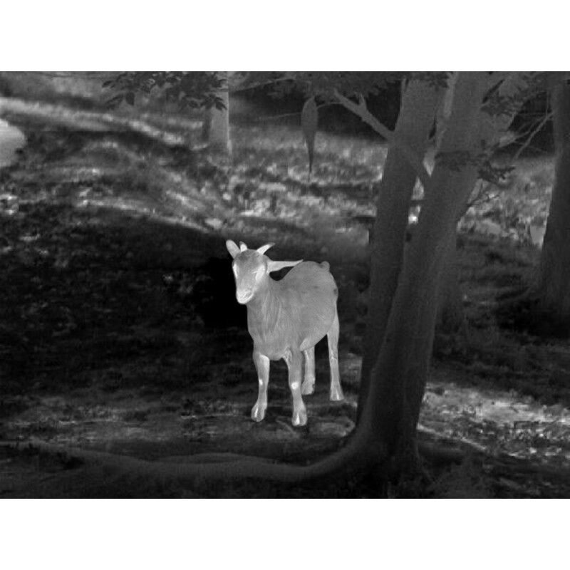 Guide Thermal imaging camera TD633L