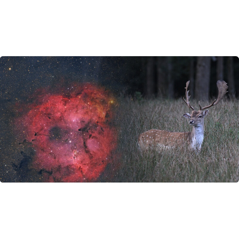 ToupTek Refractor apocromático HOPE D60 60/280 Tilter