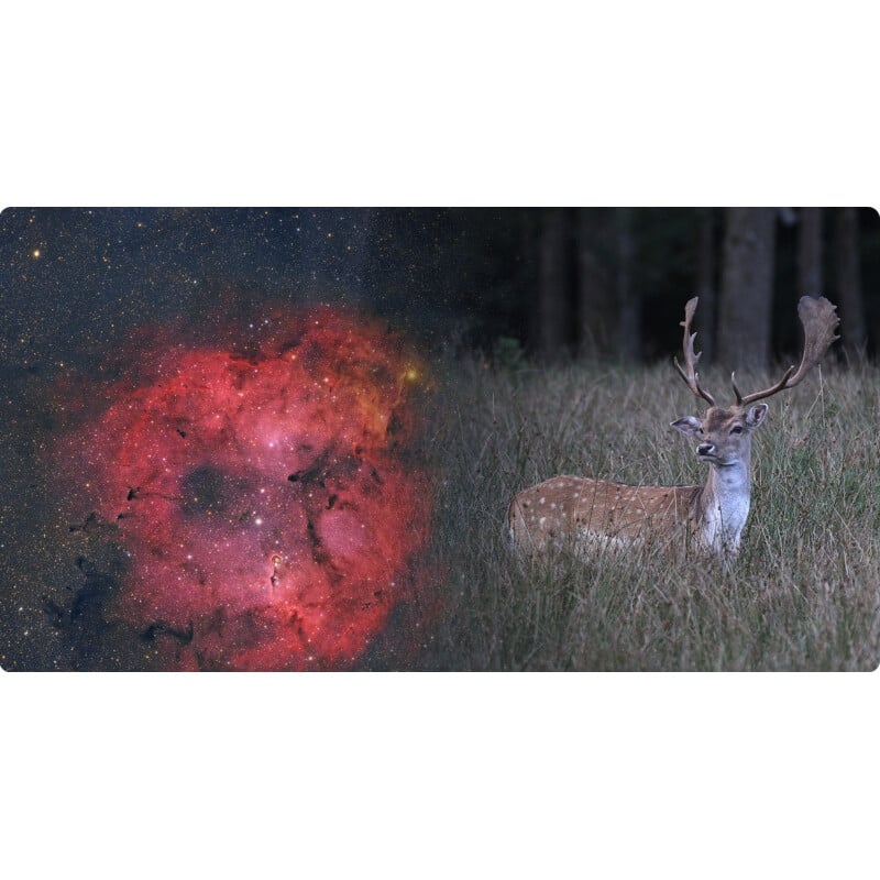 ToupTek Rifrattore Apocromatico HOPE D60 60/280 f/4.66