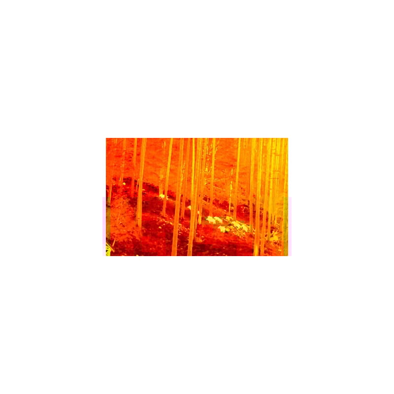 NiteHog Thermal imaging camera Viper 50 NXT
