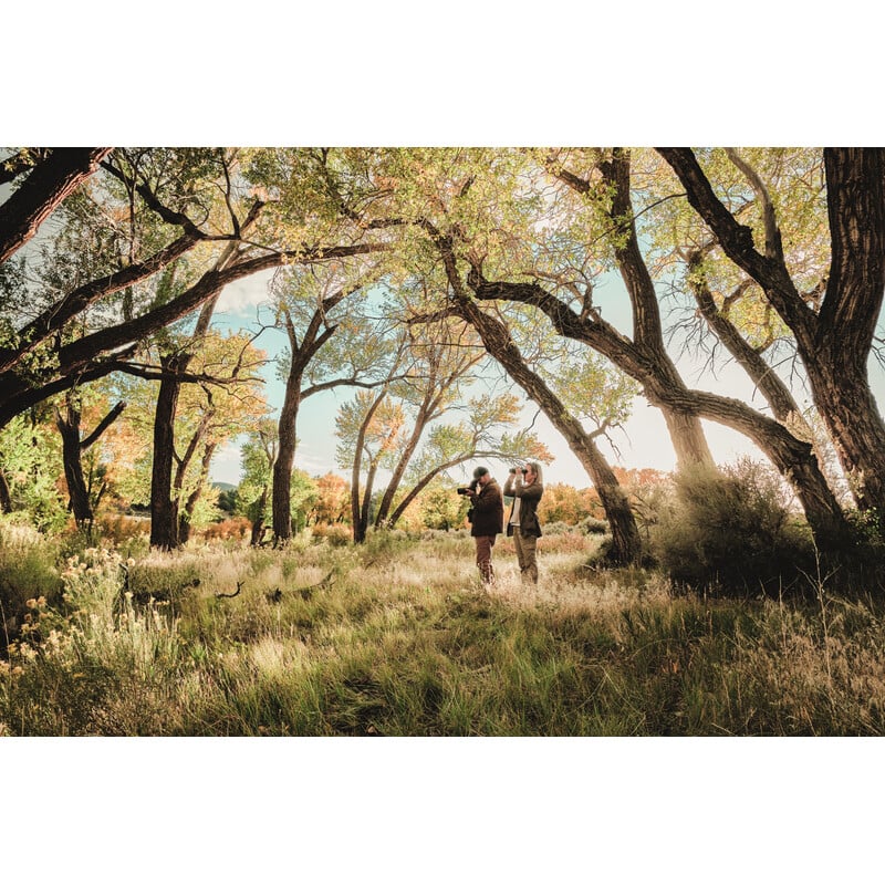 Swarovski Catalejo AT Balance 18-45x65