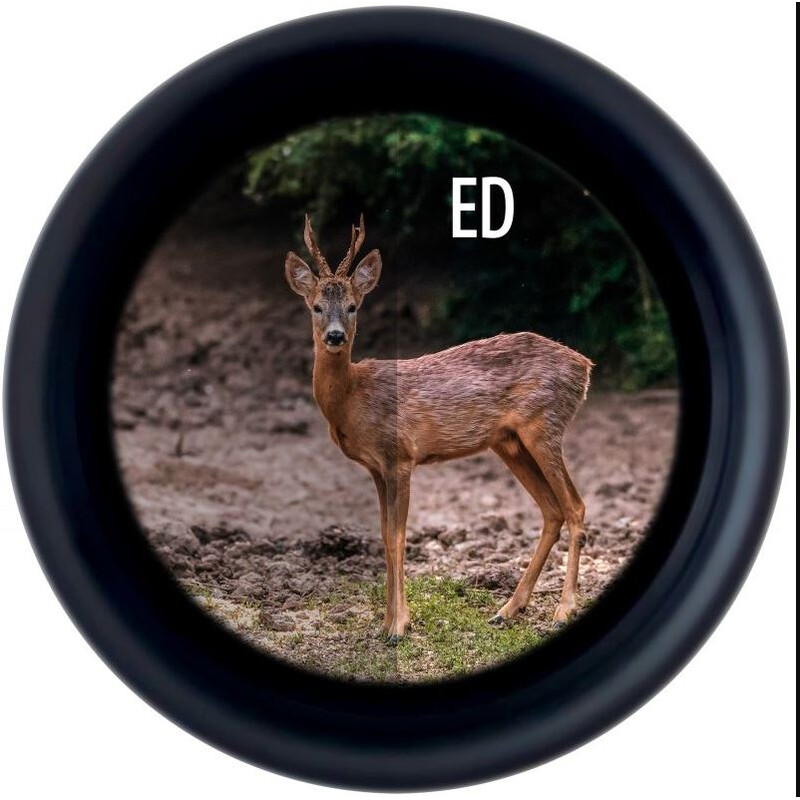 Minox Binoculars X-Tour 10x34