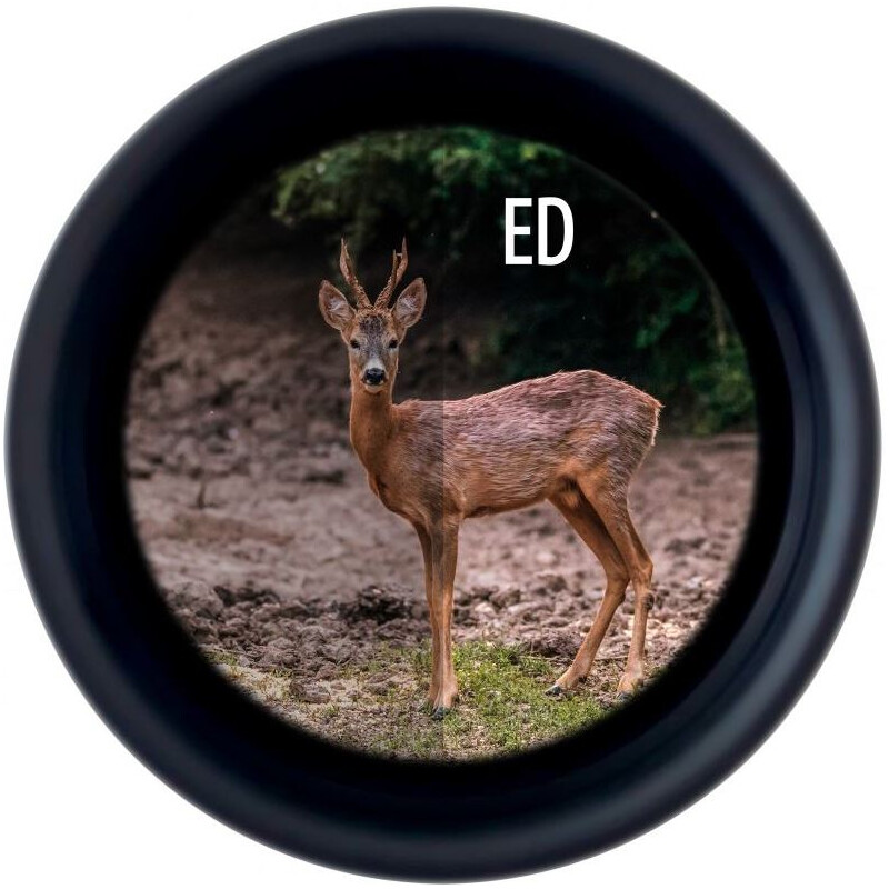 Minox Verrekijkers X-Tour 10x42