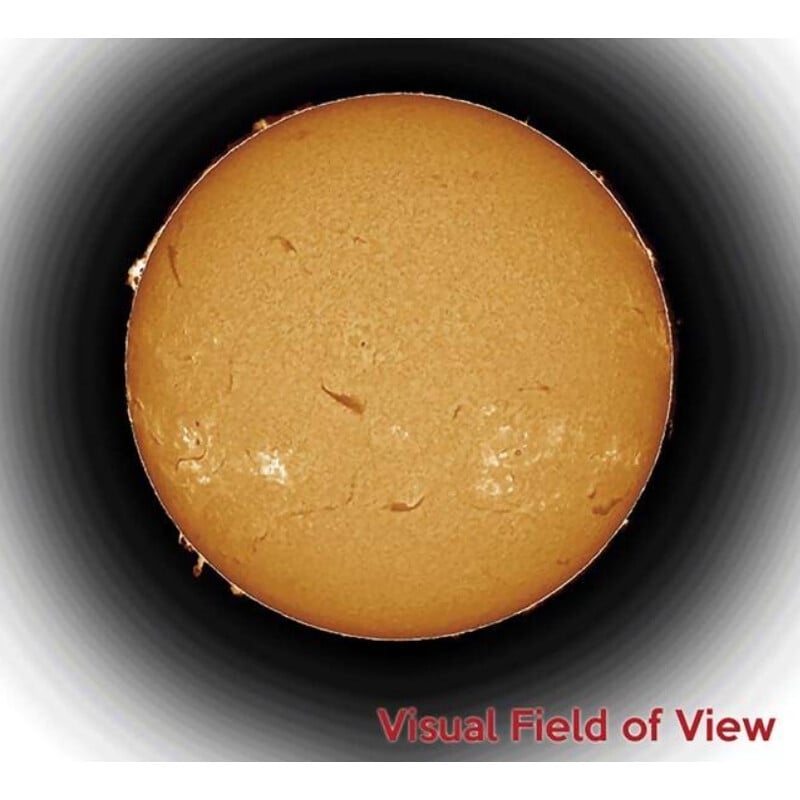 DayStar Telescopio Solare ST 100/1690 Sol 100