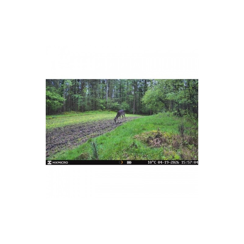 HIKMICRO Wildlife camera T16