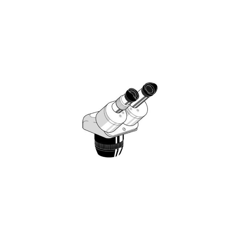Euromex Stereo zoom microscope Head EE.1523, binocular