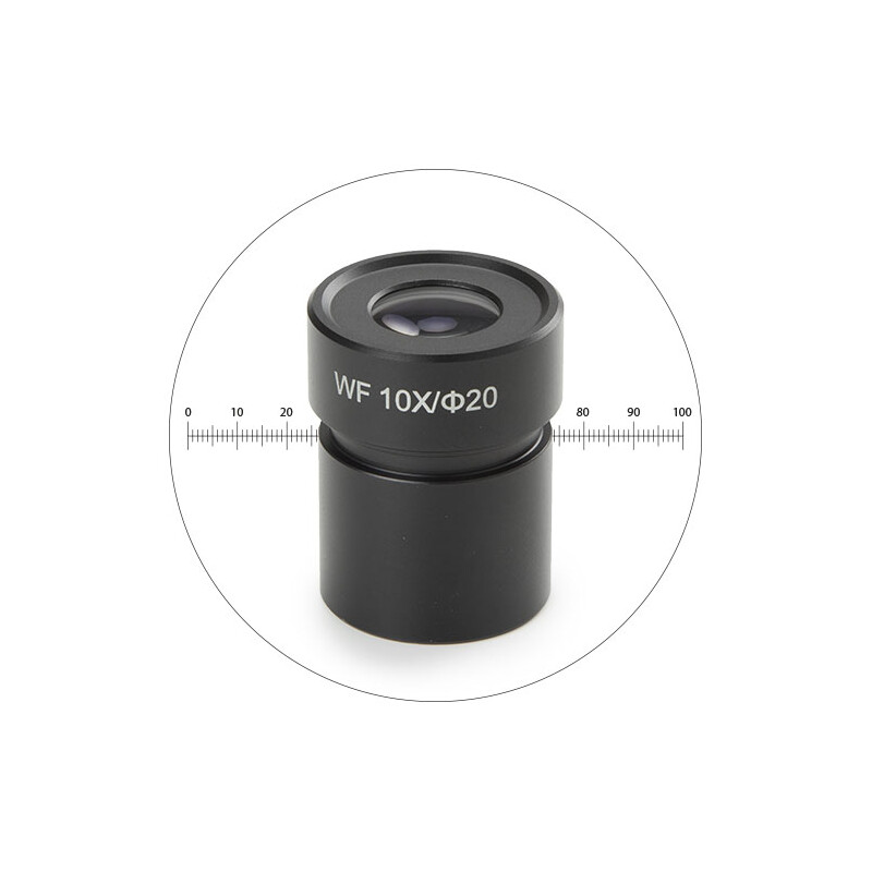 Novex Wide field WF 50.811, 10x eyepiece with micrometer